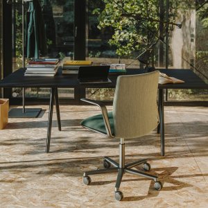Οσφυϊκή στήριξη μέσα στην πλάτη της Kinesit