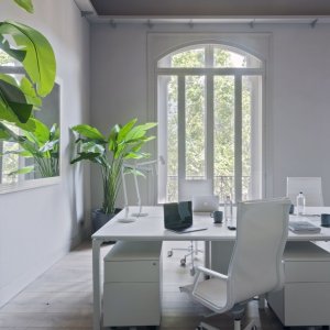 Αυτοφρεναρόμενες ρόδες κάτω από την πολυθρόνα Nulite
